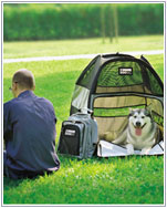 DOG-BAG�E�h�b�O�o�b�O